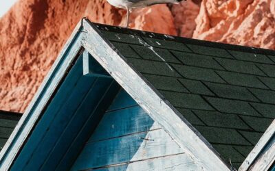 Roofing Disasters and How To Avoid Them Through Smart Homeowner Choices